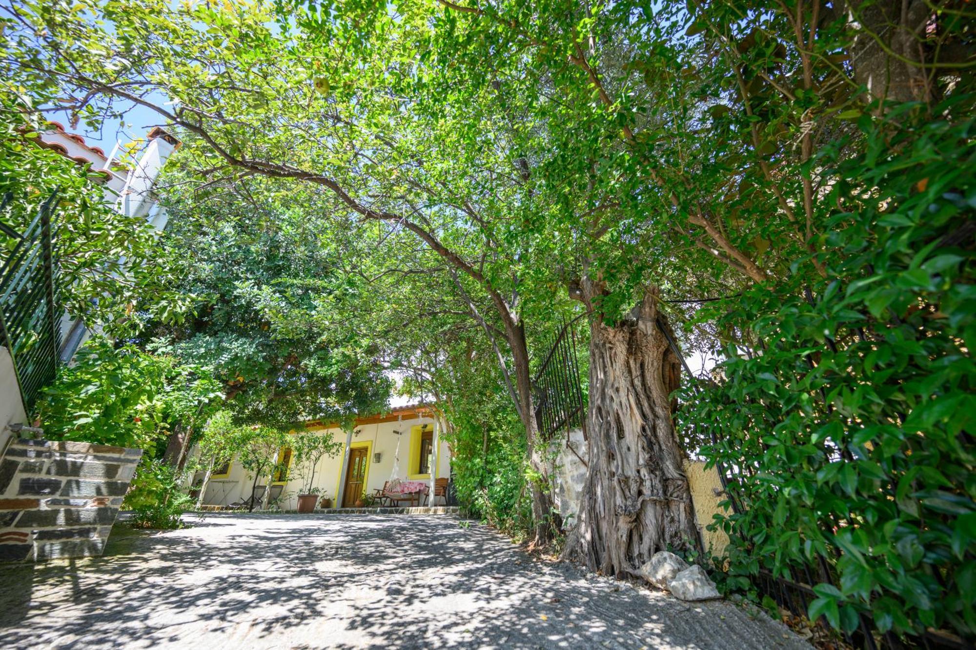 Small Villa Gerani Agios Vlasios  Exterior photo
